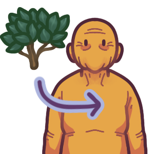  an elderly person with an arrow drawn between them and a mature, non flowering bush with visible branching.